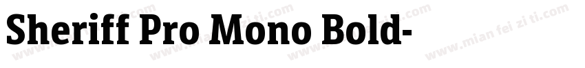 Sheriff Pro Mono Bold字体转换